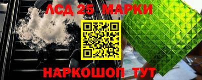 прущие грибы Боровичи