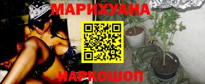 прущие грибы Боровичи