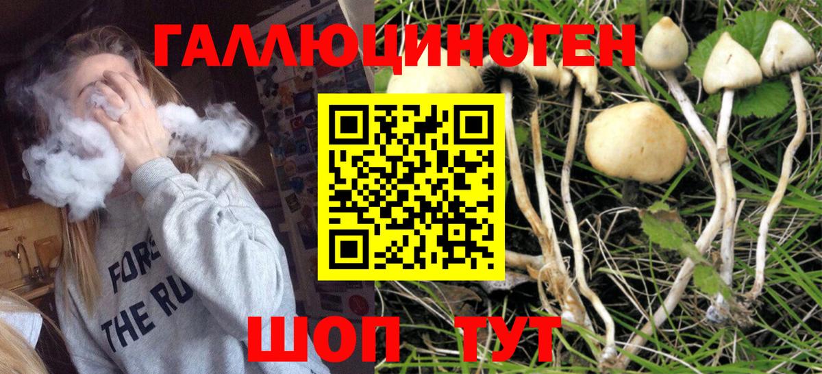 Галлюциногенные грибы мухоморы Богданович