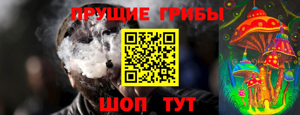 Псилоцибиновые грибы Cubensis Богданович